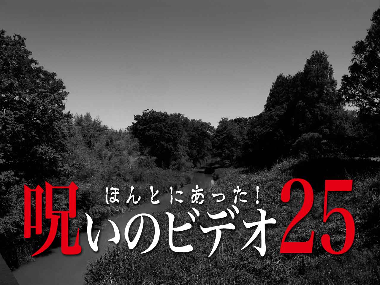 ほんとにあった 呪いのビデオ25 ネタバレあり わいのイッヌが世界一かわいい