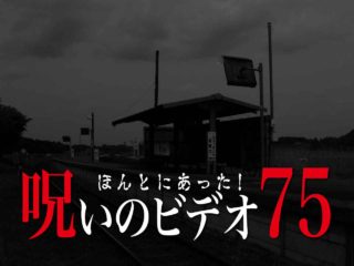 ほんとにあった 呪いのビデオ55 ネタバレあり わいのイッヌが世界一かわいい