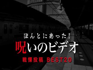 ほんとにあった 呪いのビデオ 私的best10 ネタバレあり わいのイッヌが世界一かわいい