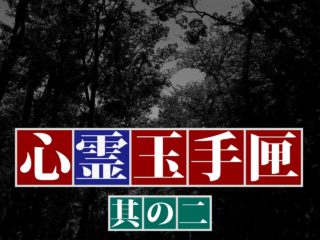 ほんとにあった 呪いのビデオ48 ネタバレあり わいのイッヌが世界一かわいい