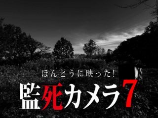 ほんとにあった 呪いのビデオ リング編 ネタバレあり わいのイッヌが世界一かわいい