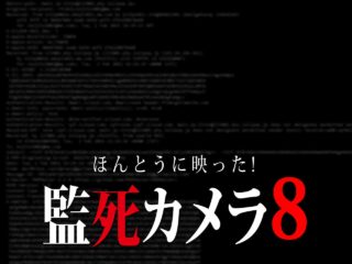 ほんとにあった 呪いのビデオ73 ネタバレあり わいのイッヌが世界一かわいい