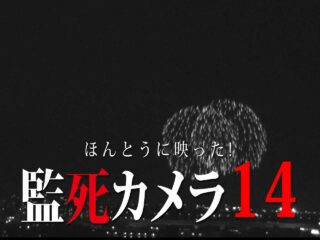 ほんとにあった 呪いのビデオ リング編 ネタバレあり わいのイッヌが世界一かわいい