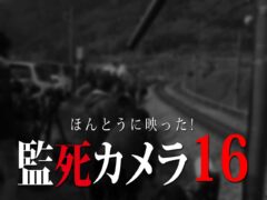 ほんとにあった 呪いのビデオ64 ネタバレあり わいのイッヌが世界一かわいい