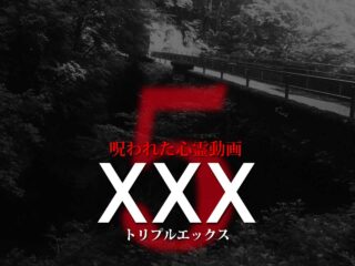 ほんとにあった 呪いのビデオ 私的best10 ネタバレあり わいのイッヌが世界一かわいい