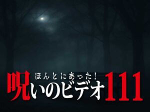 ほんとにあった! 呪いのビデオ 111（ネタバレ有り）